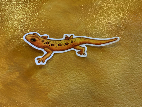 Red Eft Sticker